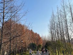 -上海山野camping·户外天幕烧烤·团建拓展营地