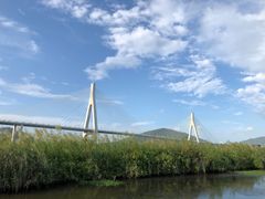 -芒洲湿地公园