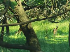 -承德避暑山庄景区