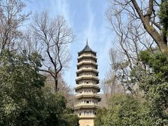 -灵谷景区