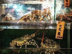 -猪肉婆私房菜(容桂总店)