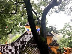 -涂山寺素食餐厅