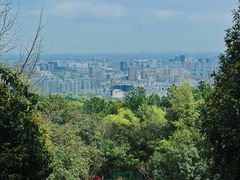 -临平公园(临平街道)