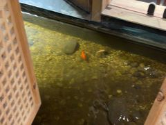 -邈墨茶馆(凤起路店)