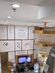 -熙朵美学植发连锁