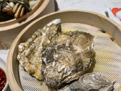 -杨氏青龙虾·羊蝎子(金盛路总店)