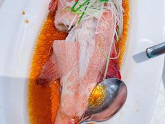 清蒸红斑-珍宝海鲜JUMBO Seafood(ifc店)