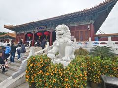 -珠海圆明新园