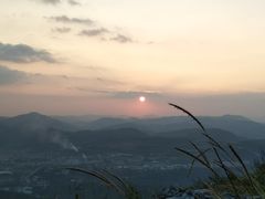 -长虫山生态公园风景林