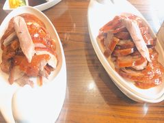 -北京老铺烤鸭(高新店)