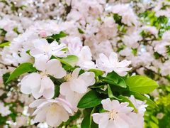 -大钟寺古钟博物馆