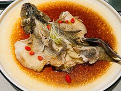 清蒸鱼-竹雨堂创意中国菜(裕华店)