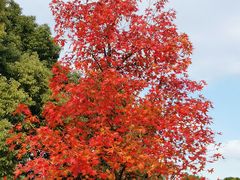 -广富林郊野公园