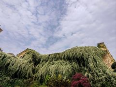 -府河摄影公园