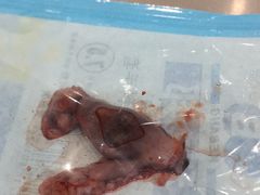 -伟伟宠物医院·CT影像中心·瑞派犬猫综合性门诊(汉口总院)