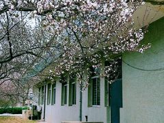 -山东师范大学(千佛山校区)