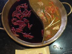 -杨家火锅(国美店)