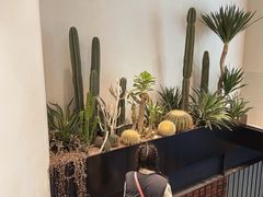 -J Create城市露营咖啡·简餐·宠物(上海动物园店)