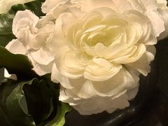 -徐记海鲜(万家丽|德政园店)