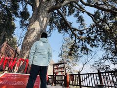 -终南山南五台景区