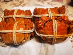-黄记大闸蟹专卖店·活蟹·醉蟹
