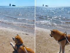 -碣石国家级海洋公园