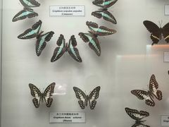 -陕西自然博物馆