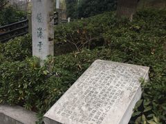 -白马涧龙池景区