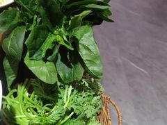 -印象高密·凤都国际大酒店