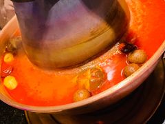 -番食园鲜食火锅(高新店)