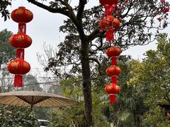 -青城甲(青城山店)