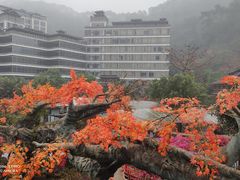 -龙门水都景区