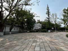 -江心屿景区