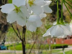 -重庆中央公园(渝北区)