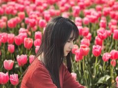 -无锡梅园公园