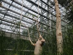 -南山植物园