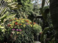 -郑州植物园