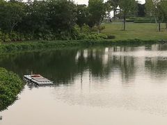 -宝安西湾红树林湿地公园