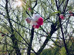 -江南大学(蠡湖校区)