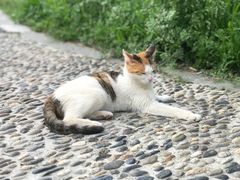 -狼山风景名胜区