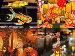 -美的鹭湖森林度假区