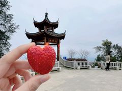 -黄埔油麻山森林公园