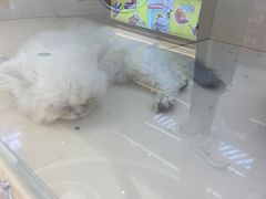 -北京长安天街