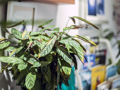 -隹木咖啡馆(宝龙广场店)