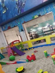 -爱丽丝奇幻乐园