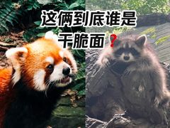 -杭州动物园