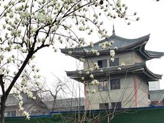 -成都市文殊院