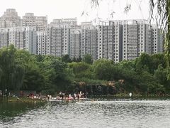 -天鹅湖体育公园