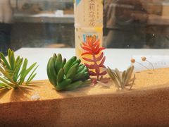 -牛汤哥慢熬牛肉汤(陶然亭店)