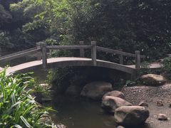 -广州市白云山风景名胜区